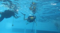 IMG_0090.jpg
